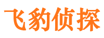 陆川婚姻外遇取证